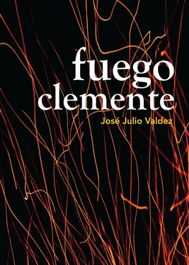 José Julio Valdez Robles Fuego Clemente обложка книги