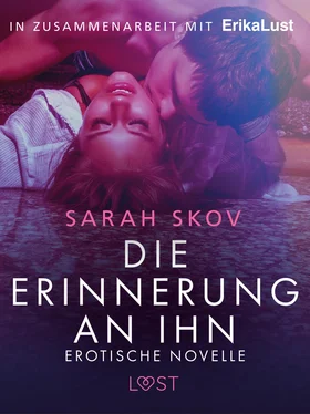Sarah Skov Die Erinnerung an ihn: Erotische Novelle обложка книги