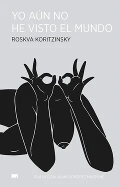Roskva Koritzinsky Yo aún no he visto el mundo обложка книги