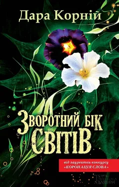 Дара Корній Зворотний бік світів обложка книги