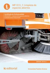 Inmaculada Paulete Jiménez - Limpieza de espacios abiertos. SEAG0209