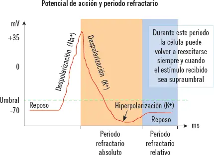 Actividades 4 Identifique según su personalidad qué tipo de observador sería - фото 18