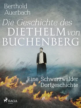 Berthold Auerbach Die Geschichte des Diethelm von Buchenberg. Eine Schwarzwälder Dorfgeschichte обложка книги