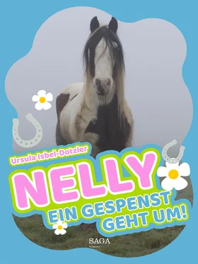 Ursula Isbel-Dotzler Nelly - Ein Gespenst geht um! обложка книги