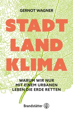 Gernot Wagner Stadt, Land, Klima обложка книги