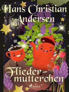 Hans Christian Fliedermütterchen обложка книги
