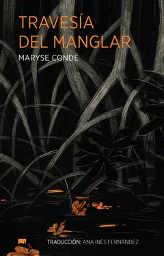 Maryse Conde Travesía del manglar обложка книги