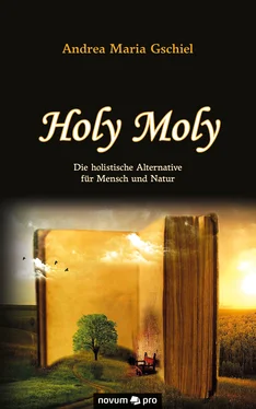 Andrea Maria Gschiel Holy Moly обложка книги