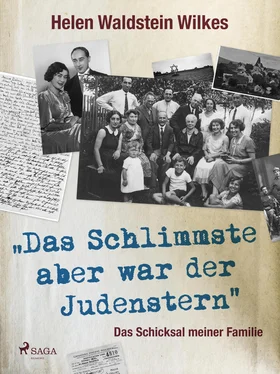 Helen Waldstein Wilkes Das Schlimmste aber war der Judenstern - Das Schicksal meiner Familie обложка книги