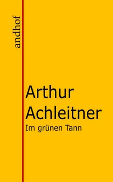 Arthur Achleitner Im grünen Tann обложка книги