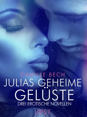 Camille Bech Julias geheime Gelüste – Drei erotische Novellen обложка книги