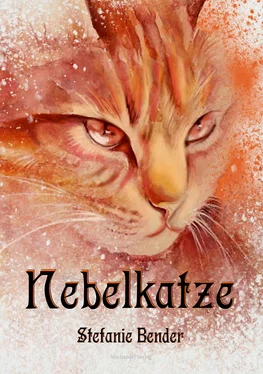 Stefanie Bender Nebelkatze обложка книги