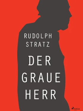 Rudolf Stratz Der graue Herr обложка книги