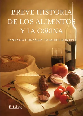 Sandalia González-Palacios Romero Breve historia de los alimentos y la cocina обложка книги