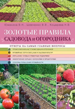 Владимир Шевченко Золотые правила садовода и огородника обложка книги