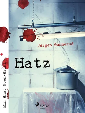 Jørgen Gunnerud Hatz обложка книги