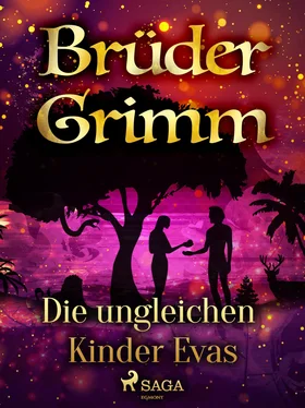Brüder Grimm Die ungleichen Kinder Evas обложка книги