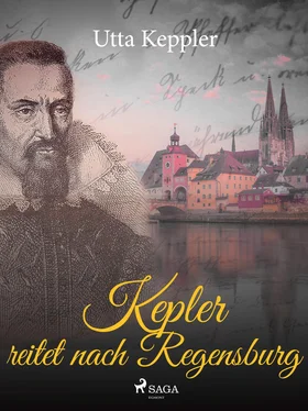 Utta Keppler Kepler reitet nach Regensburg обложка книги