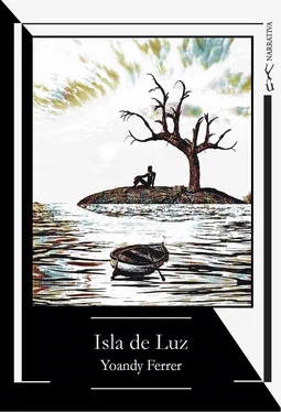 Yoandy Ferrer Isla de luz обложка книги