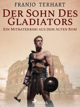 Franjo Terhart Der Sohn des Gladiators - Ein Mitratekrimi aus dem Alten Rom обложка книги