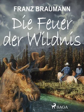 Franz Braumann Die Feuer der Wildnis обложка книги