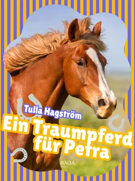 Torbjörg Hagström Ein Traumpferd für Petra обложка книги