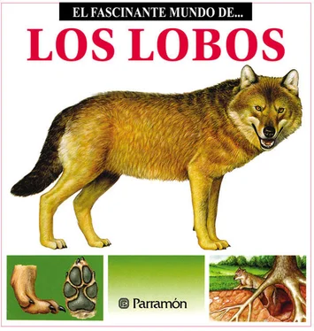 Maira Àngels Julivert Los Lobos обложка книги