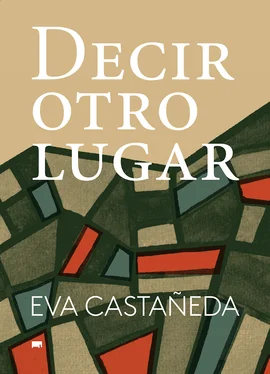 Eva Castañeda Decir otro lugar обложка книги