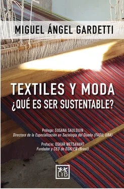 Miguel Ángel Gardetti Textiles y moda ¿Qué es ser sustentable? обложка книги