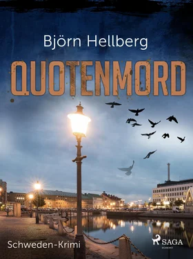 Björn Hellberg Quotenmord - Schweden-Krimi обложка книги