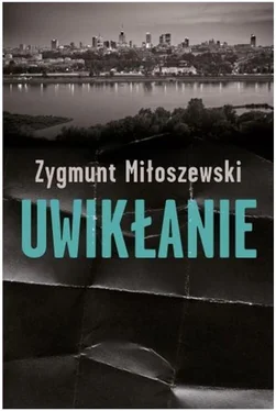 Зигмунт Милошевский Увязнуть в паутине обложка книги