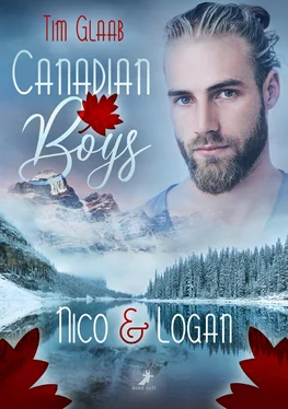 Tim Glaab Canadian Boys: Nico & Logan обложка книги