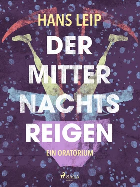 Hans Leip Der Mitternachtsreigen обложка книги