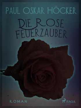 Paul Oskar Höcker Die Rose Feuerzauber обложка книги