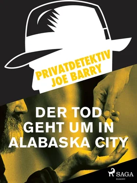 Joe Barry Privatdetektiv Joe Barry - Der Tod geht um in Alabaska City обложка книги