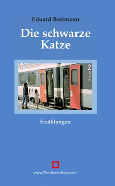 Eduard Breimann Die schwarze Katze обложка книги