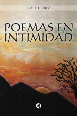 Jorge Javier Pérez Poemas en intimidad обложка книги