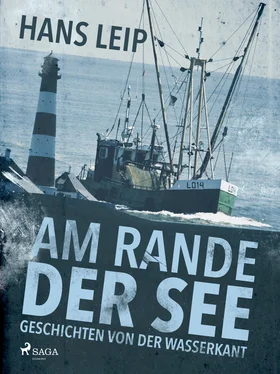 Hans Leip Am Rande der See обложка книги