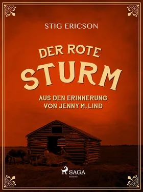 Stig Ericson Der Rote Sturm: aus den Erinnerung von Jenny M. Lind обложка книги