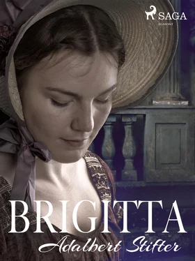 Adalbert Stifter Brigitta обложка книги