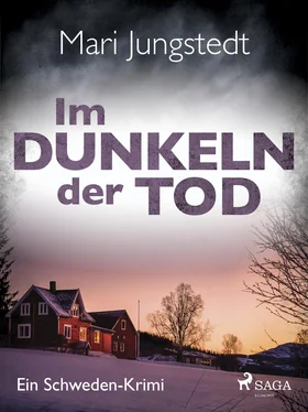 Mari Jungstedt Im Dunkeln der Tod - Ein Schweden-Krimi обложка книги
