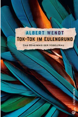 Albert Wendt Tok-Tok im Eulengrund обложка книги