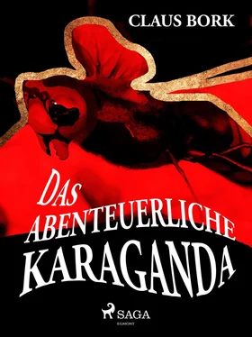 Claus Bork Das abenteuerliche Karaganda обложка книги
