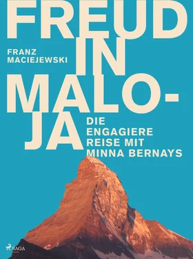 Franz Maciejewski Freud in Maloja обложка книги