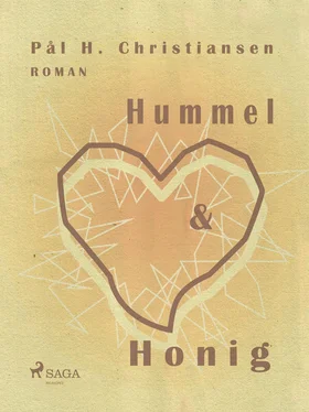 Pål H. Christiansen Hummel und Honig обложка книги