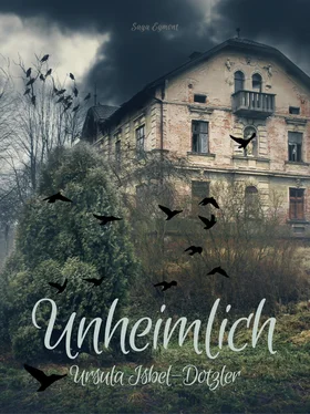 Ursula Isbel-Dotzler Unheimlich обложка книги