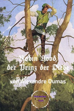 Alexandre Dumas Robin Hood, der Prinz der Diebe обложка книги