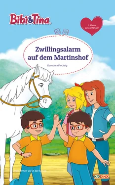 Dorothea Flechsig Bibi & Tina - Zwillingsalarm auf dem Martinshof обложка книги
