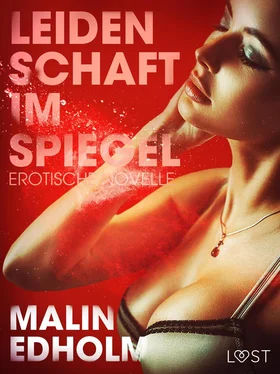 Malin Edholm Leidenschaft im Spiegel: Erotische Novelle обложка книги