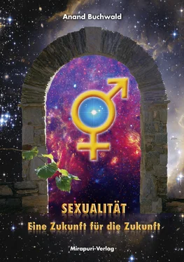 Anand Buchwald Sexualität – Eine Zukunft für die Zukunft обложка книги